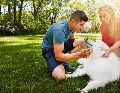 Buy stock photo Shot of an affctionate young couple walking their dog in the park