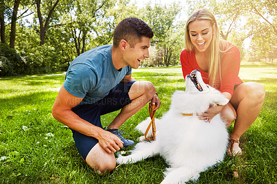 Buy stock photo Shot of an affctionate young couple walking their dog in the park