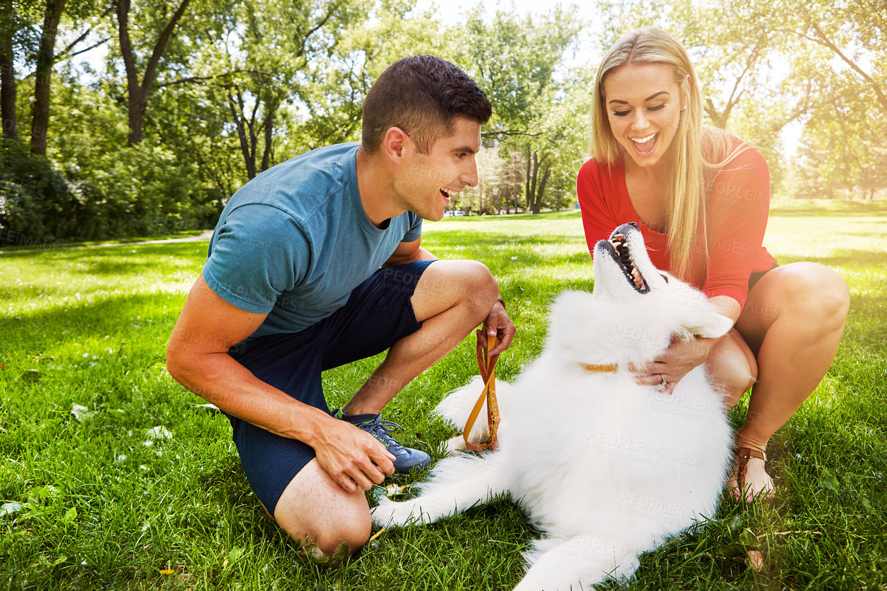 Buy stock photo Shot of an affctionate young couple walking their dog in the park