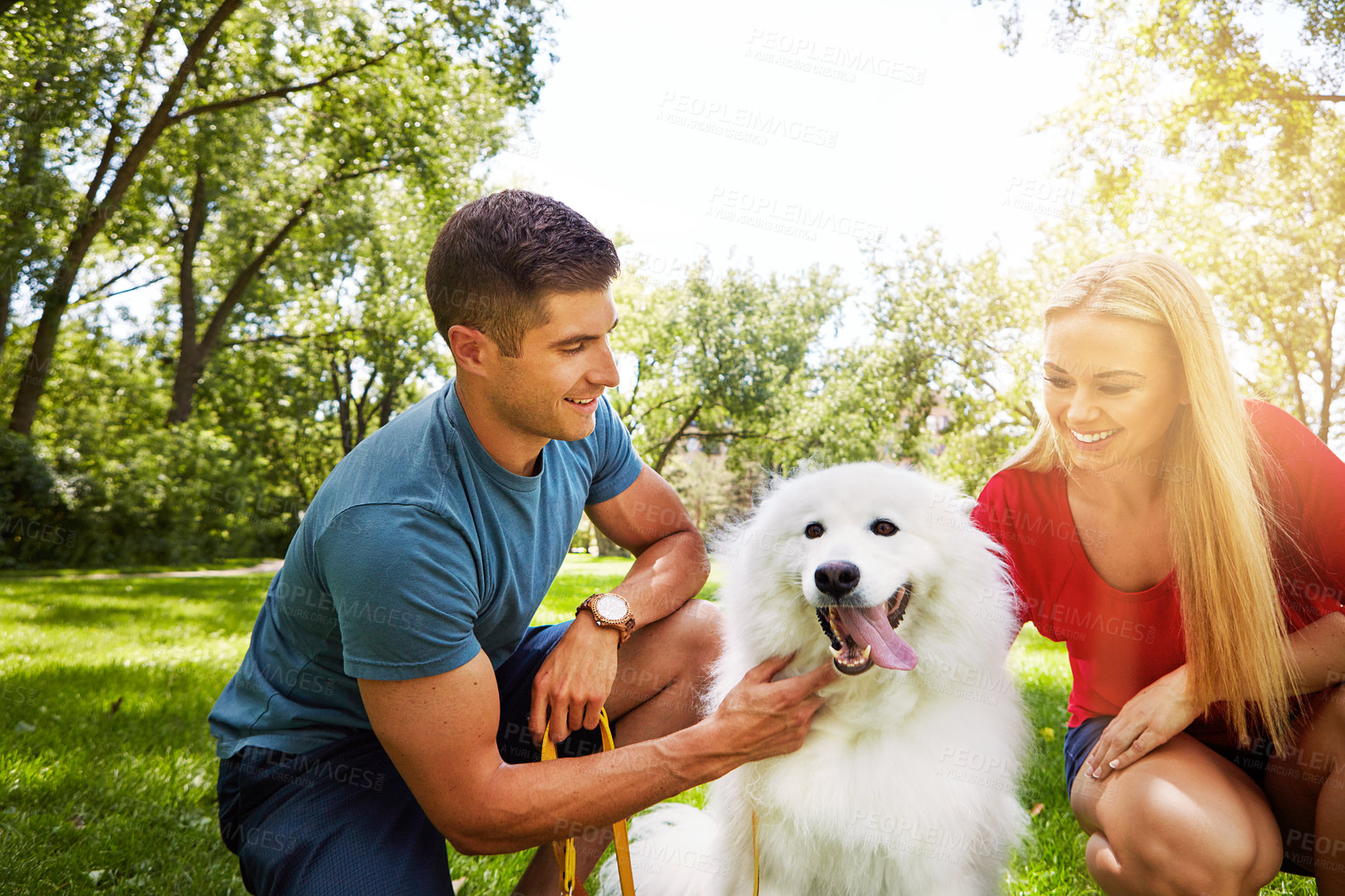 Buy stock photo Shot of an affctionate young couple walking their dog in the park