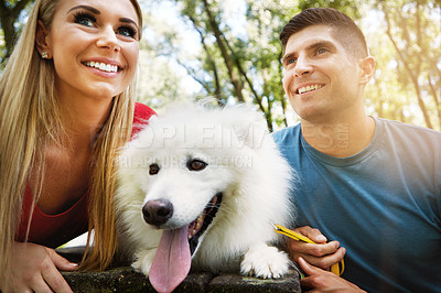 Buy stock photo Shot of an affctionate young couple walking their dog in the park