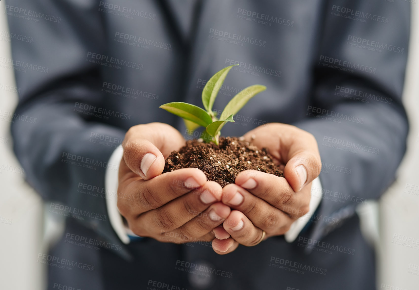 Buy stock photo Person, business and hand with plant growth for seed funding or sustainability, eco friendly or earth day. Fingers, soil and leaves for carbon footprint or corporate investment, environment or future