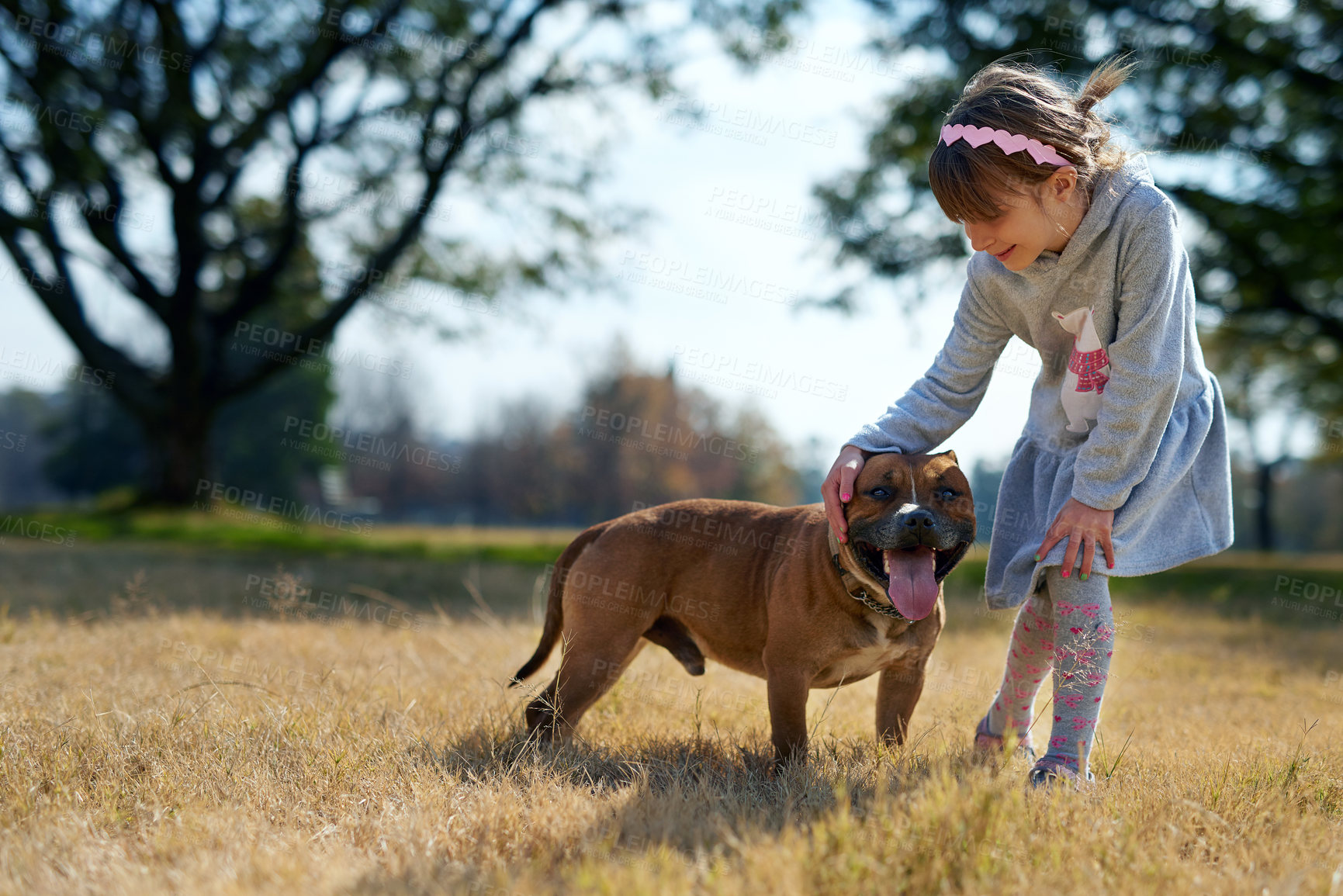 Buy stock photo Shot of a little girl playing with her dog in a park