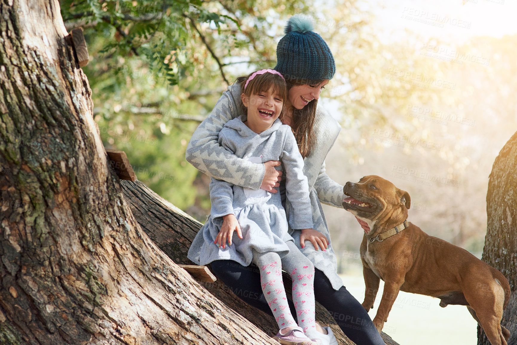 Buy stock photo Mother, child and playing in park with pet, trees and happiness in winter. Family, daughter and pitbull in nature for fun, bonding and free time in countryside for dog training or exercise outdoors