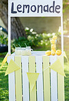 Summertime is the perfect opportunity to open a lemonade stand