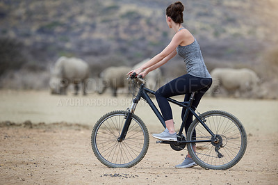 Buy stock photo Shot of a young woman on a bicycle looking at a group of rhinos in the veld