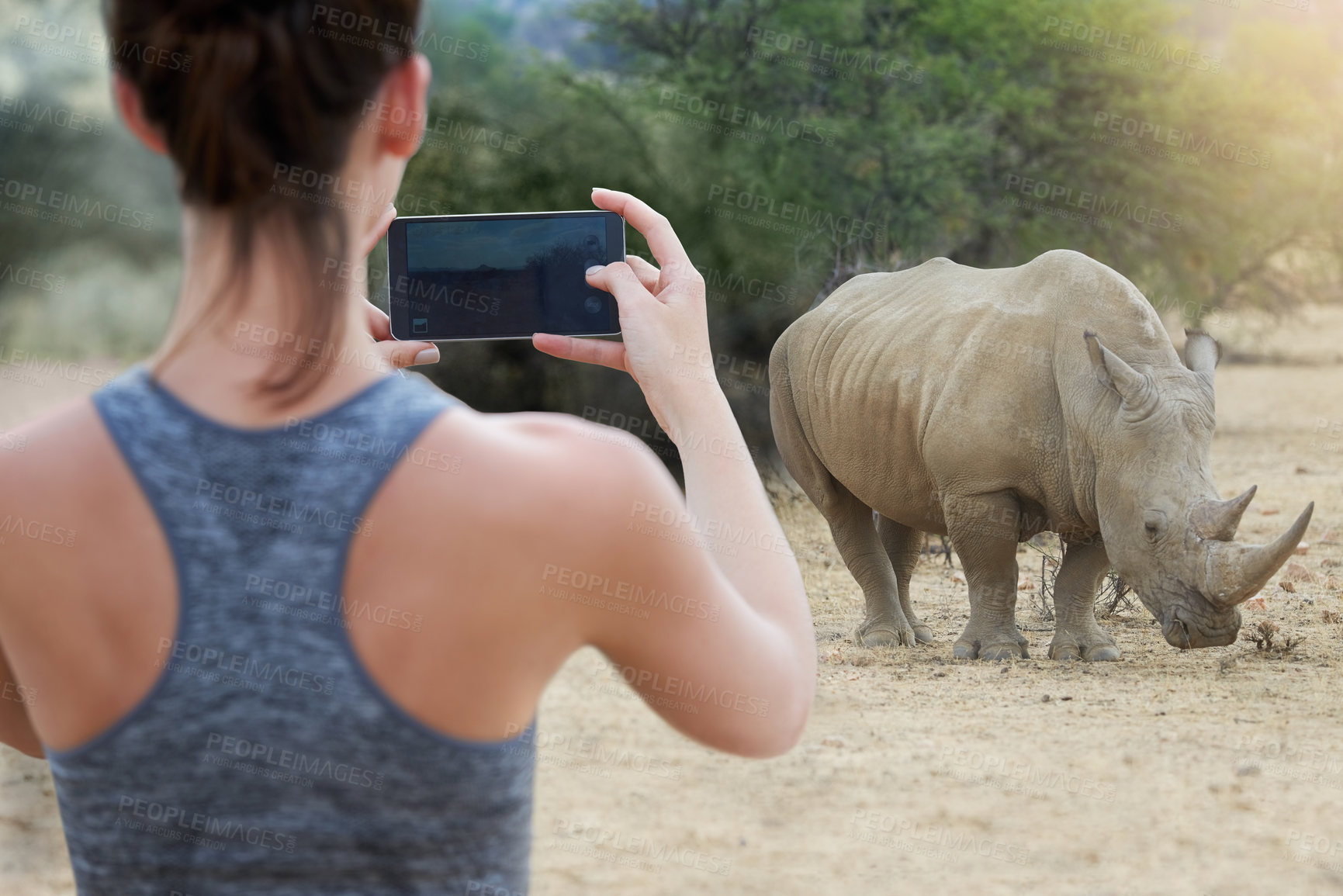 Buy stock photo Rearview shot of an unidentifiable young woman taking a picture of a rhinoceros in the wild