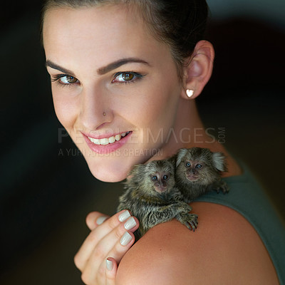 Buy stock photo Cropped portrait of an attractive young woman posing with two pigmy marmosets