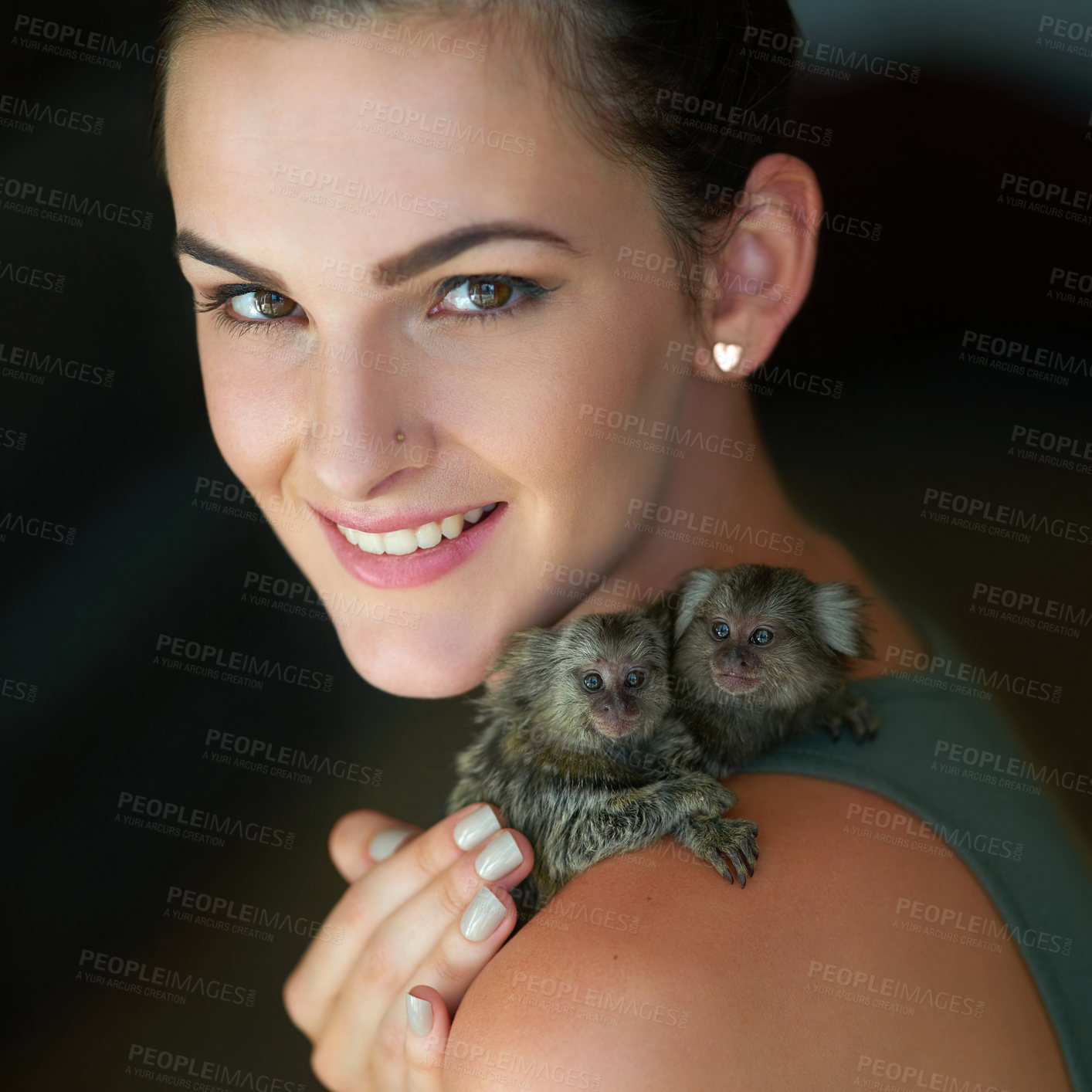 Buy stock photo Cropped portrait of an attractive young woman posing with two pigmy marmosets