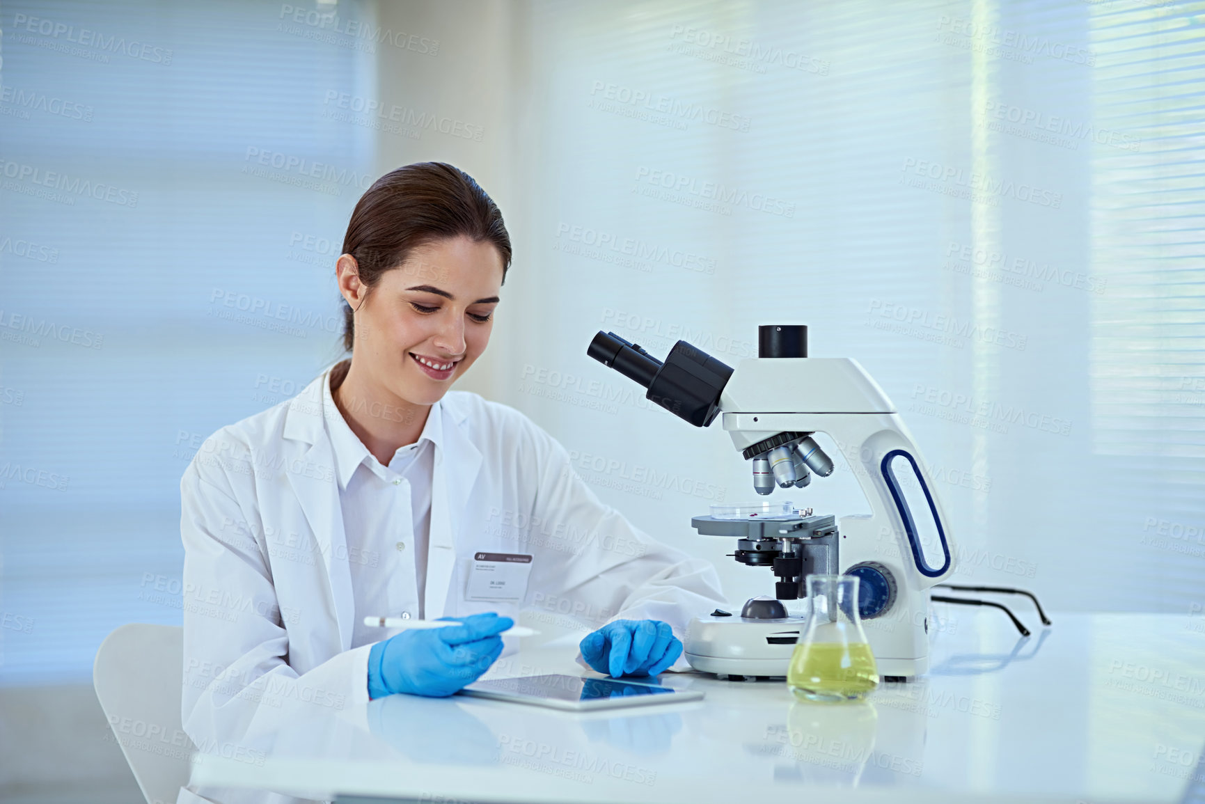 Buy stock photo Scientist, microscope and woman in office with tablet for medical exam, innovation and chemical research. Experiment, investigation and person with biotech for vaccine, study and test for bacteria