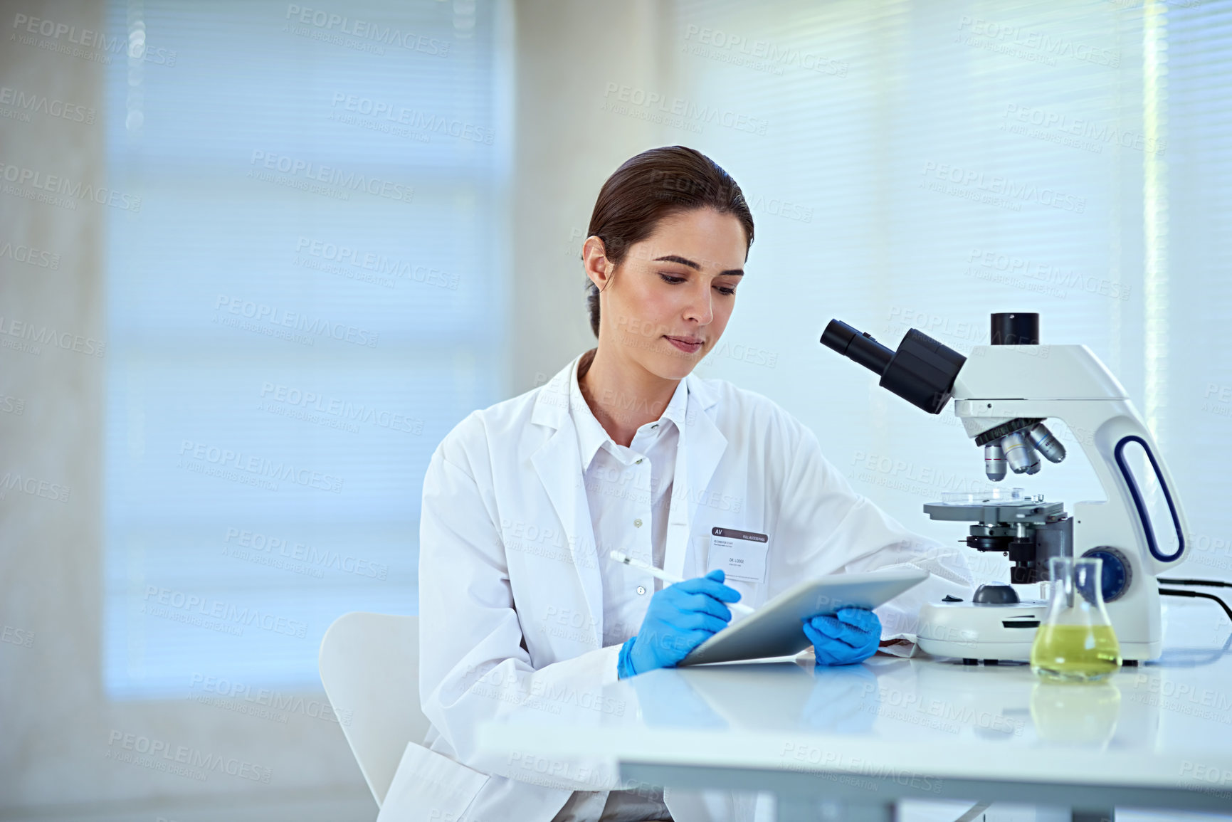 Buy stock photo Scientist, microscope and woman at work with tablet for medical study, innovation and stem cell results. Investigation, analysis and person with biotechnology for dna, research or test for bacteria