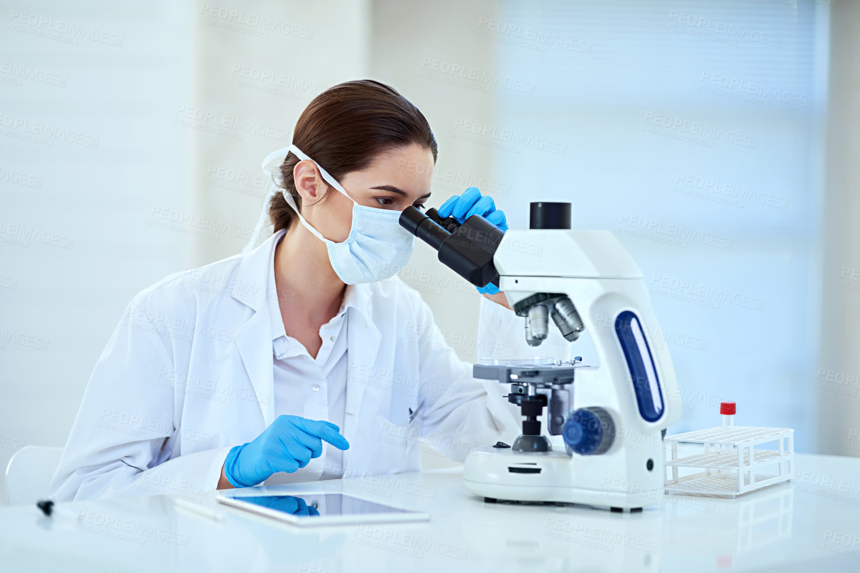 Buy stock photo Shot of a female scientist working alone in the lab