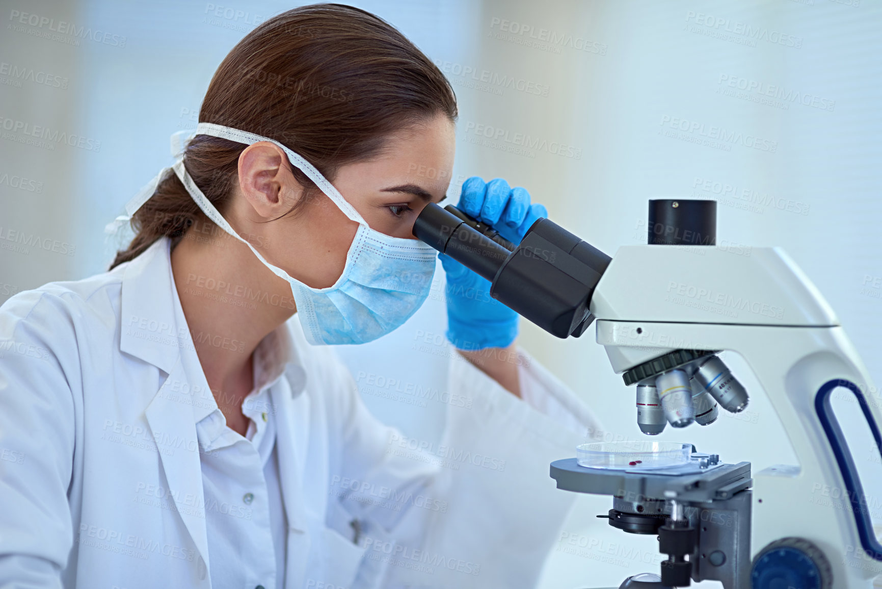 Buy stock photo Science, laboratory and woman with microscope for research, medical study and medicine development. Healthcare, pharmaceutical and scientist with equipment for discovery, experiment and sample