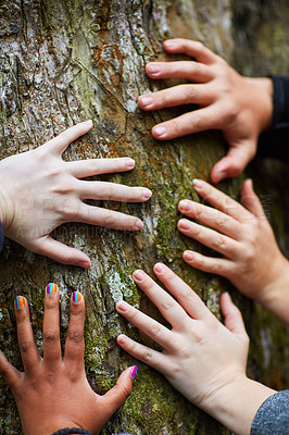 Buy stock photo Shot of a group of unidentifiable friends putting their hands on a tree trunk