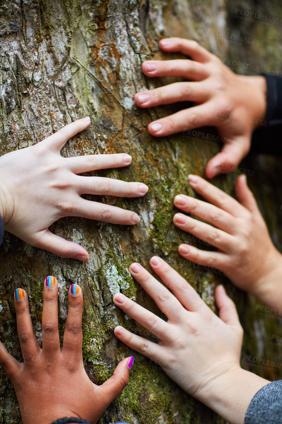 Buy stock photo Shot of a group of unidentifiable friends putting their hands on a tree trunk