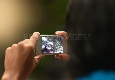 Buy stock photo Rearview shot of an unidentifiable person taking a picture with a cellphone while exploring the forest