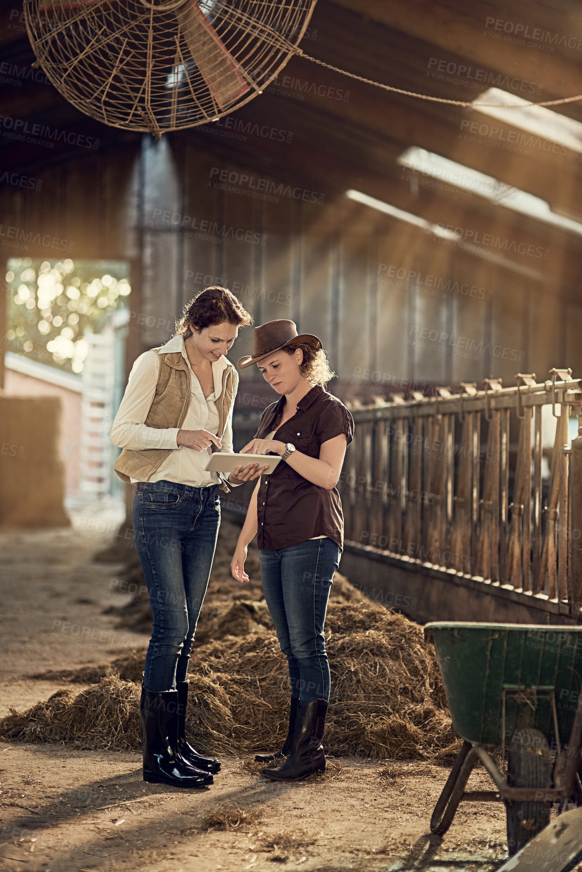 Buy stock photo Women, clipboard and check together in barn for cleaning schedule, teamwork and review. Female farmers, discussion and notes in stable for agriculture, sustainable farming for future on planet earth