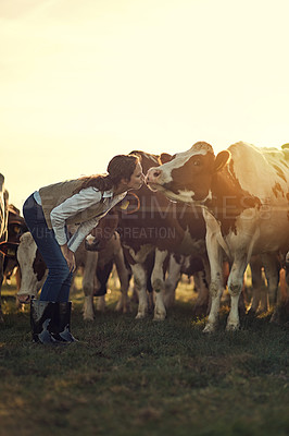 Buy stock photo Field, farmer and woman with love for cow, kiss and growth of cattle in farm, nature and grass for eating. Outdoor, herd and group of animals for agriculture, working and happy girl and employee