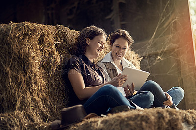 Buy stock photo Shot of two female farmers using a tablet together while relaxing on a hay bale in a barn