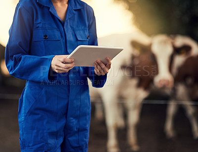 Buy stock photo Cropped shot of an unidentifiable farmer using her tablet while standing outside with her cows