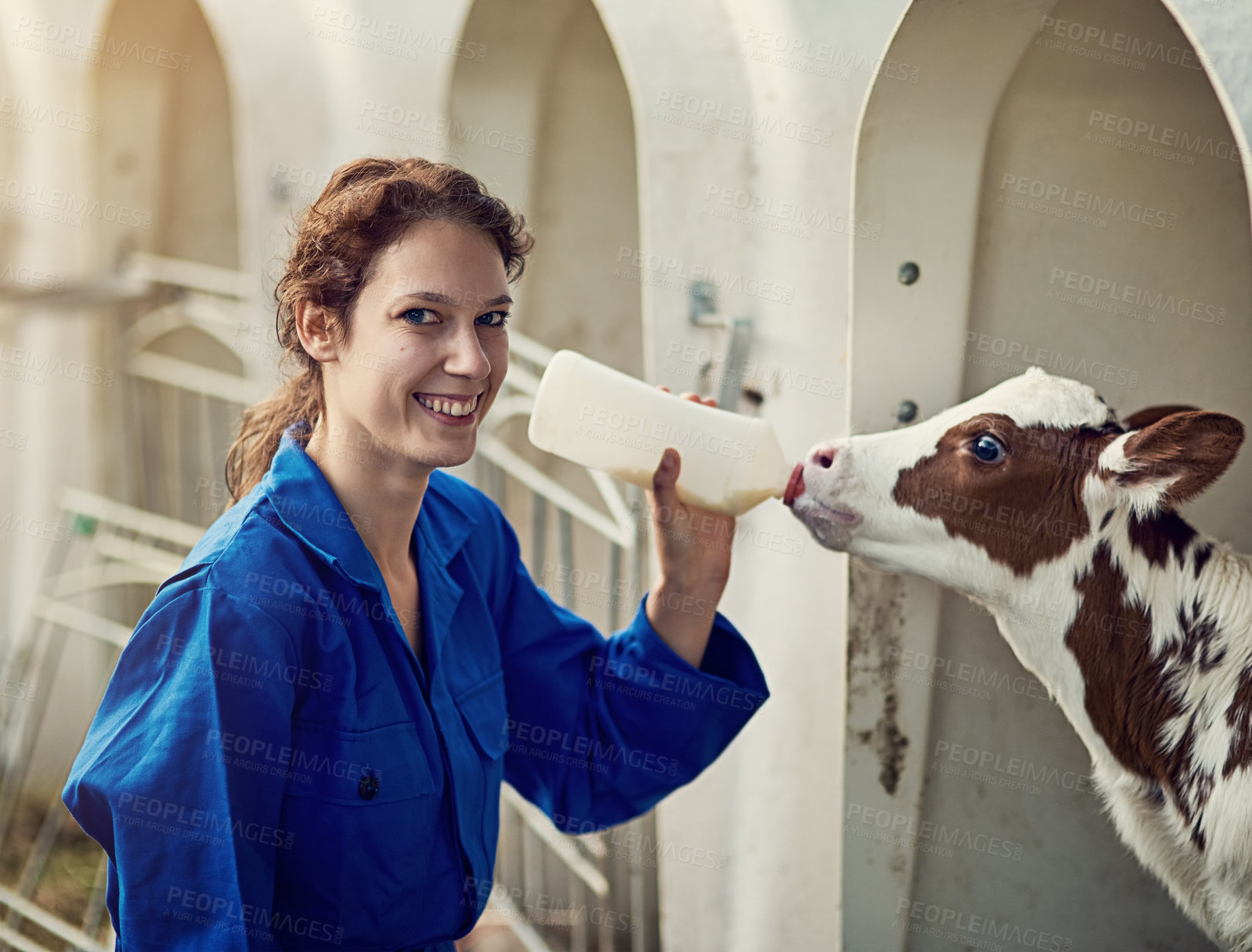 Buy stock photo Portrait, woman and smile for feeding calf, bottle and milk for baby, drink and food for animal. Outdoor, healthy and female farmer with nutrition for cattle, happy and person in barn and livestock