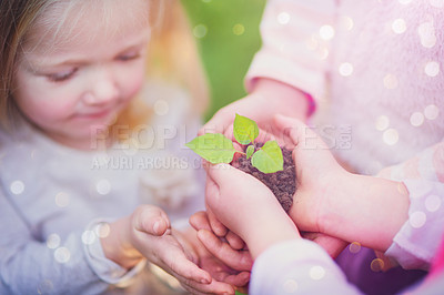 Buy stock photo Closeup shot of little girls holding a plant growing out of soil