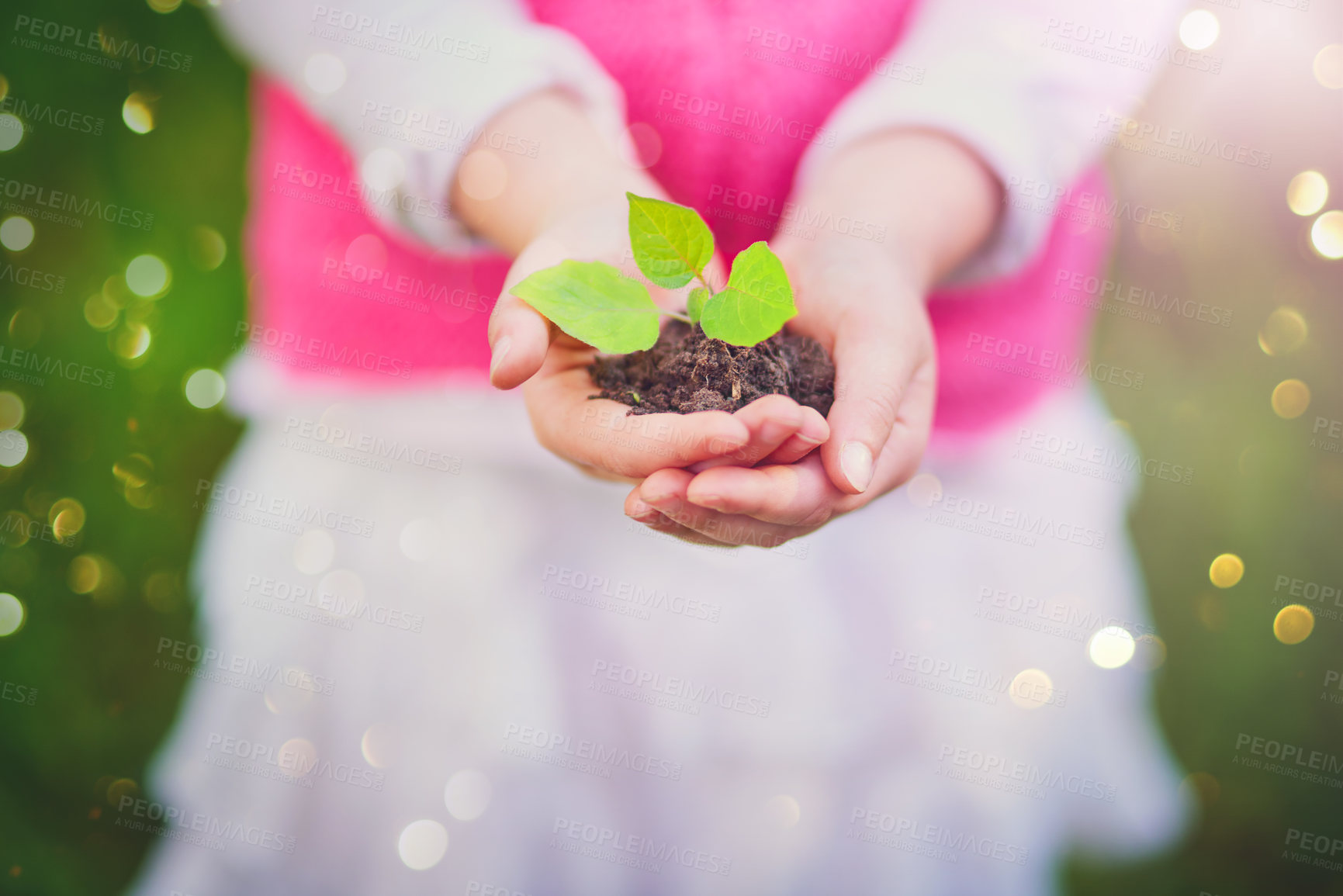 Buy stock photo Closeup of an unrecognisable little girl holding a plant growing out of soil