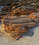 Rocky coast 