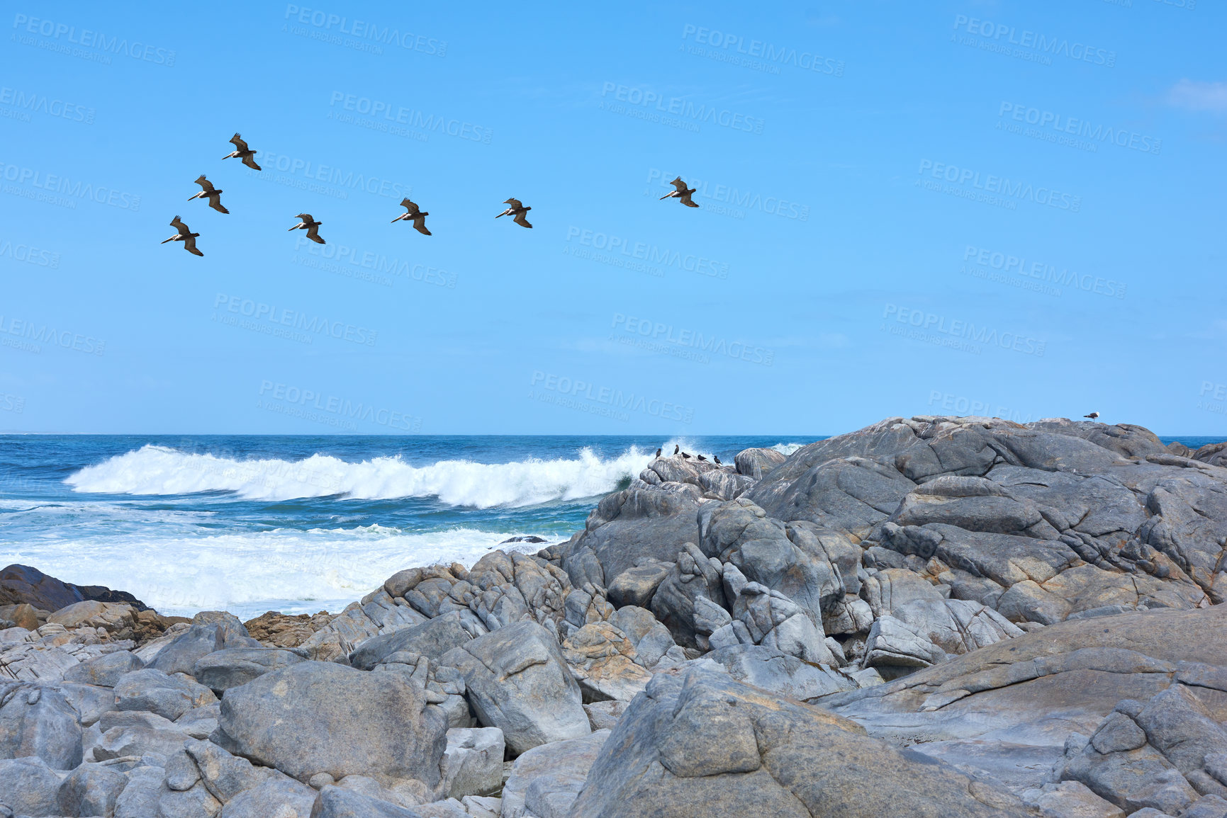 Buy stock photo Ocean, rocks and birds in nature for landscape, environment and natural habitat creation. Seascape, boulders and stone formation at beach for travel, geology and sustainability with Australia horizon