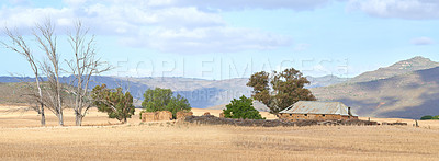 Buy stock photo Outdoor, nature and dry grass in rural area, holiday location and peace in sustainable landscape. Earth, meadow and texture in pasture on vacation, abandoned house and environment ruins on travel