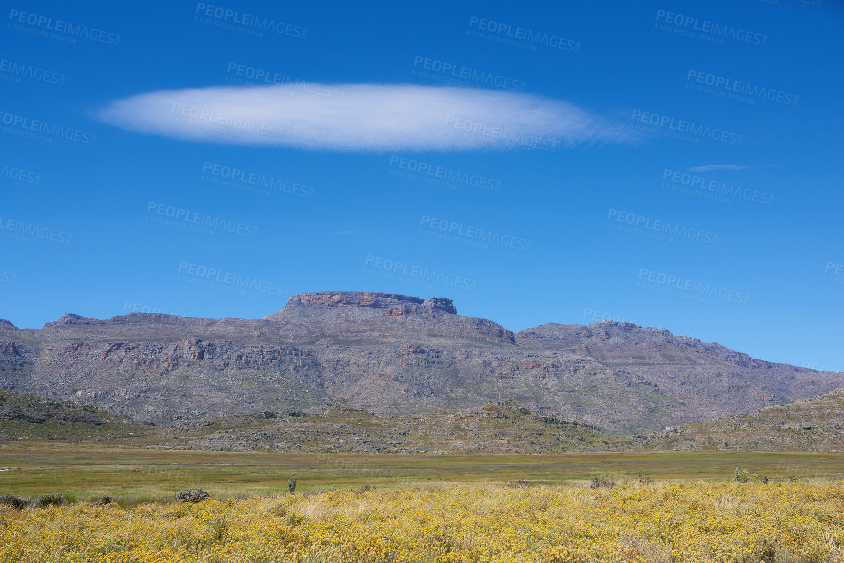 Buy stock photo Countryside, landscape and nature with plants for mountains, hiking location and trekking for adventure. Outdoor, eco friendly and environment with flora for growth, hill and travel in Switzerland