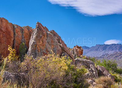 Buy stock photo Landscape, field and fynbos by mountains, nature and sunshine with clouds, sky and conservation. Indigenous plants, flora and wild shrub with growth, stone and rock outcrop with bush in South Africa