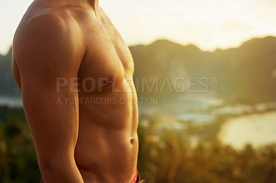 Buy stock photo Cropped shot of an unidentifiable man's torso against a tropical view