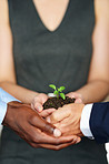 Helping business flourish together