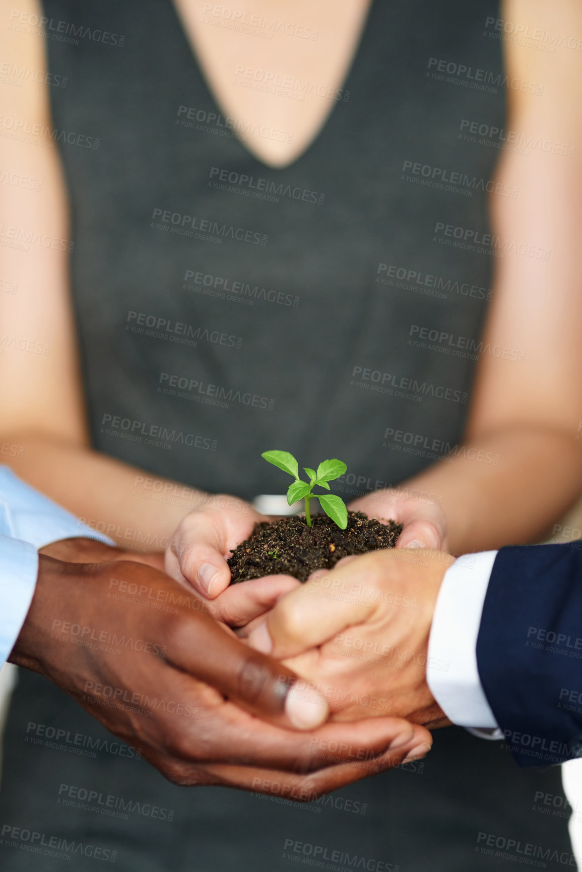 Buy stock photo Plant, teamwork and hands of business people with soil for sustainability, earth day and environmental charity. Corporate, collaboration and workers with sprout for climate change, support and growth