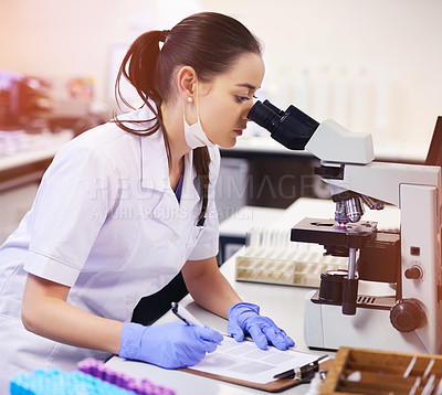 Buy stock photo Shot of a young scientist taking notes while using a microscope in a laboratory