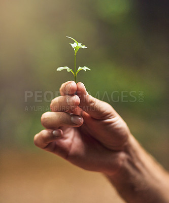 Buy stock photo Cropped shot of an unidentifiable person holding a small plant in their hand