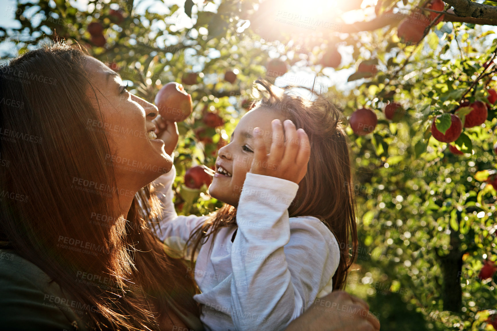 Buy stock photo Happy, mom and child with apple from farm or tree in orchard, garden or relax in summer nature. Growth, mother and daughter with fruit from sustainable agriculture, environment or healthy food