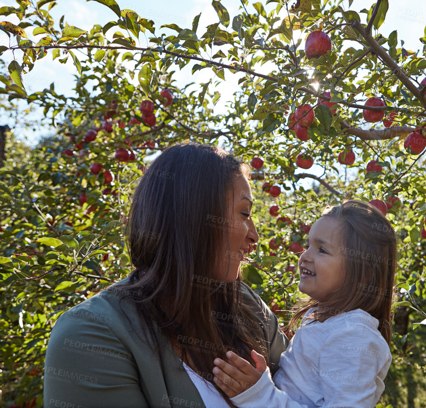 Buy stock photo Apple, farm and mom with child in trees on orchard or relax in garden with summer nature on vacation. Growth, mother and daughter with fruit from sustainable agriculture, environment or healthy food