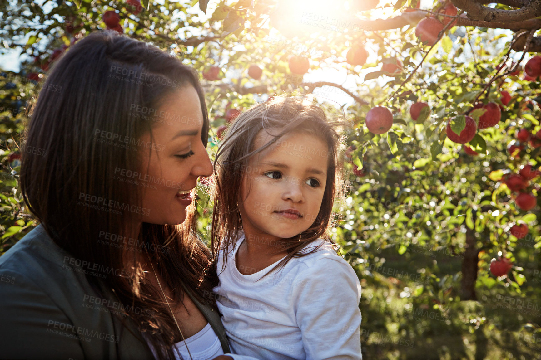 Buy stock photo Happy, mom and girl on farm with apples in trees on orchard, garden or relax in summer nature. Growth, mother and daughter with fruit from sustainable agriculture, environment or healthy food