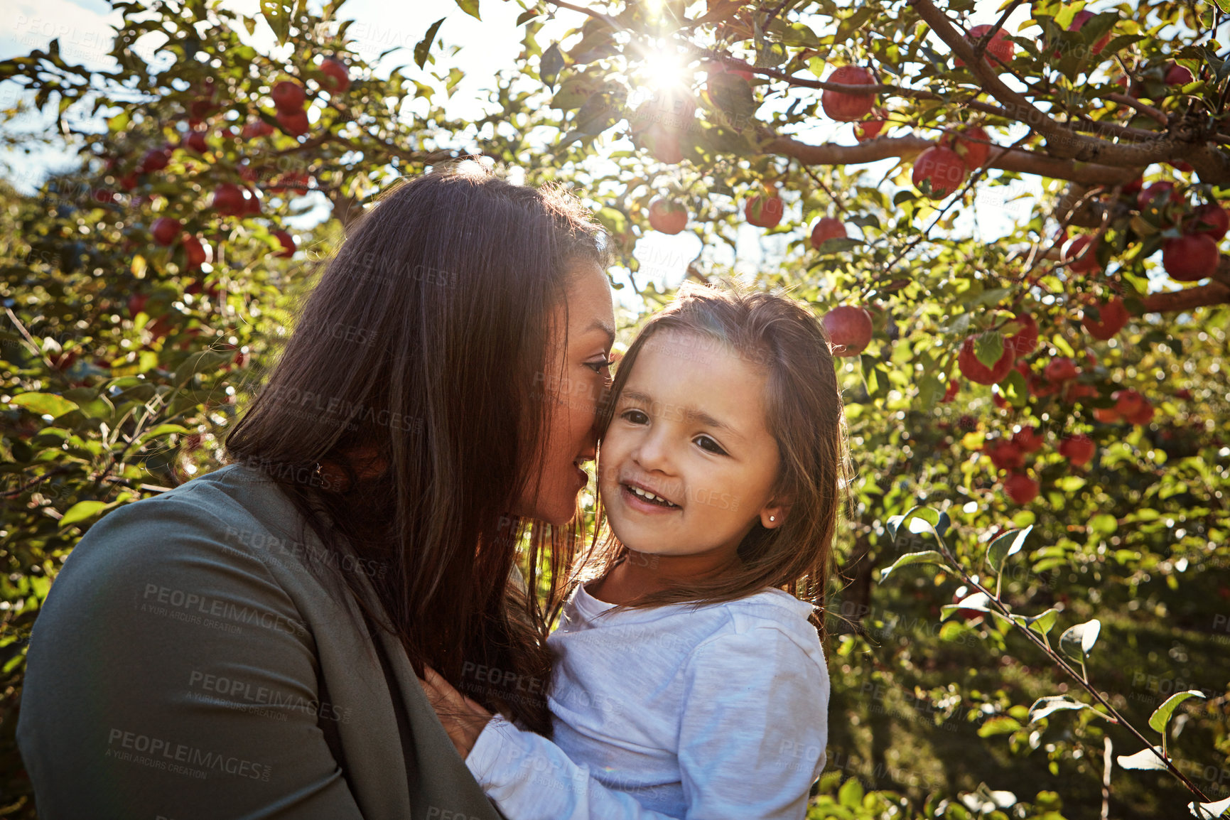 Buy stock photo Happy, mom and kiss child in park with apple on tree at farm, orchard or relax in garden on vacation. Love, care and mother hug girl in summer with nature in backyard or adventure in countryside