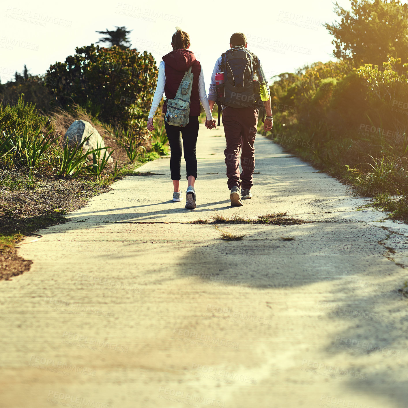 Buy stock photo Holding hands, back or couple hiking for travel, outdoor adventure or journey in forest, nature or woods. Love, wellness or people on path walking together for holiday or trekking to explore in park