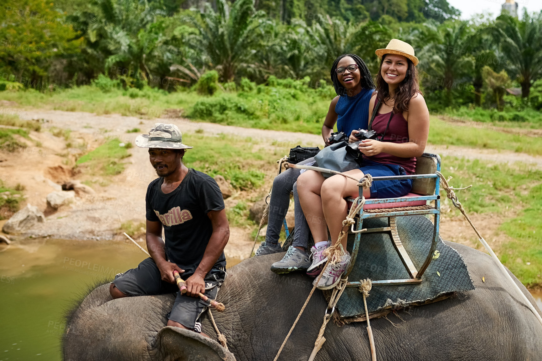 Buy stock photo Portrait of young tourists on an elephant ride through a tropical rainforest