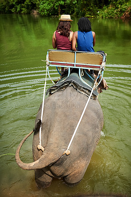 Buy stock photo Rear view shot of two young tourists on an elephant ride through a tropical rainforest