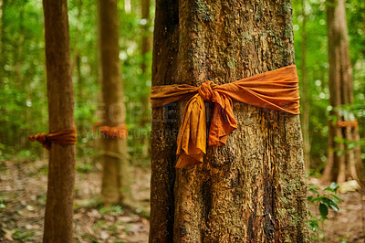 Buy stock photo Shot a forest of trees with orange fabric tied around their trunks