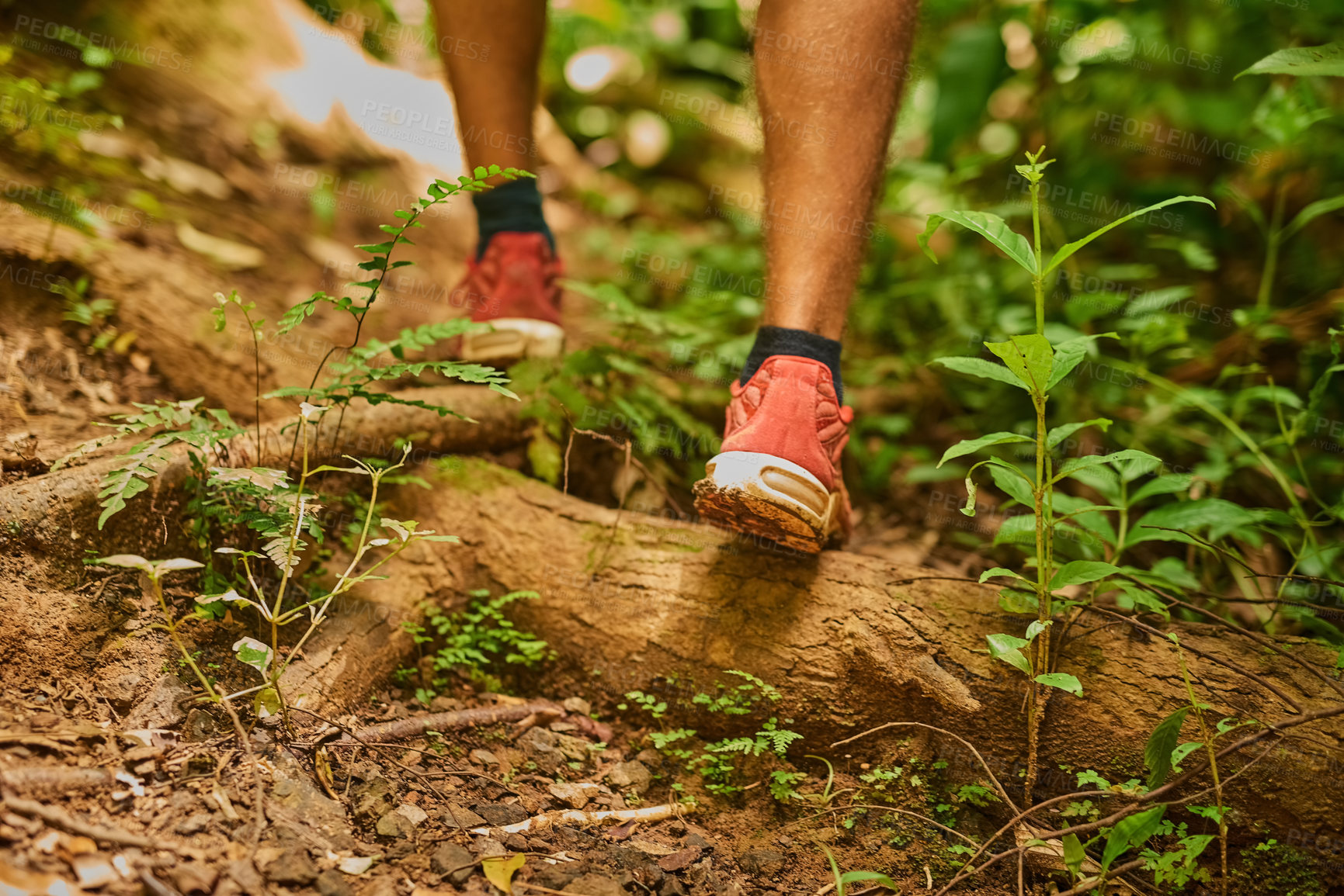 Buy stock photo Cropped shot of an unidentifiable man's feet as he hikes through the jungle