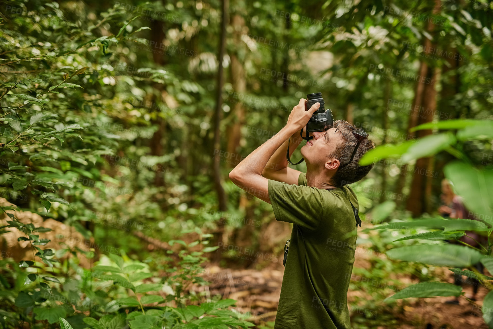 Buy stock photo Shot of a young photographer exploring a tropical jungle