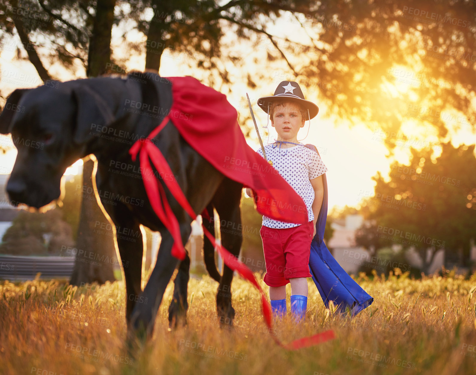 Buy stock photo Portrait, dog or child with sheriff costume in garden for adventure, bonding and games outdoor. Animals, pet or boy with Great Dane puppy in park for halloween, fantasy or learning responsibility