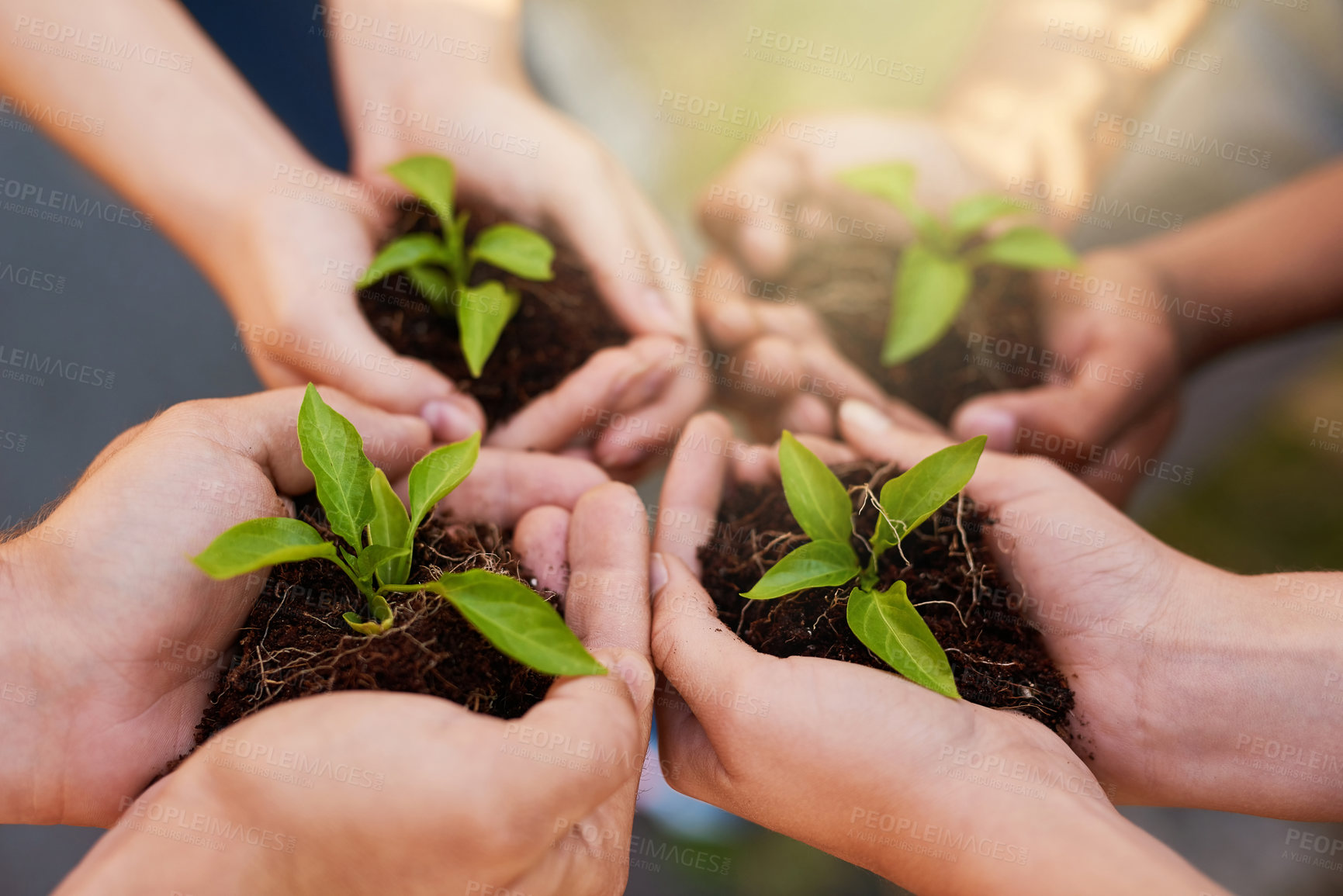 Buy stock photo Cropped shot of a group of people holding plants growing out of soil