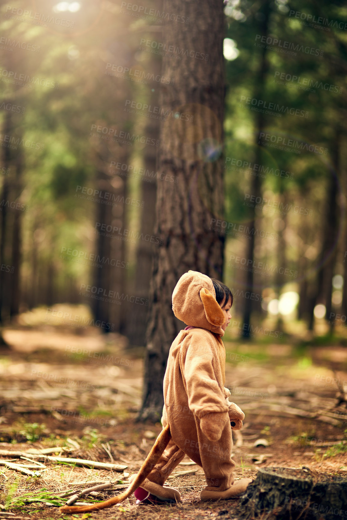 Buy stock photo Shot of a little girl walking through the forest while dressed as a bear